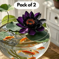 Midnight Purple Lotus Seeds Pack of 2